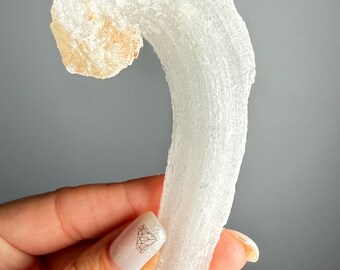 Druzy Rams Horn Calcite Crystal, Ocean Wave Ram Horn Selenite
