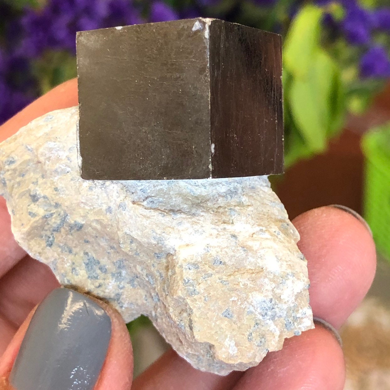 金鉱石 ZEO-1000-28 黄鉄鉱(小箱) ナリカ 1セット(4個) ZEO-1000-28