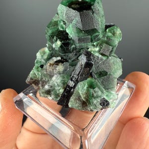 Fluorite with  Black Tourmaline Crystal (Lollipop Pocket), Erongo, Namibia