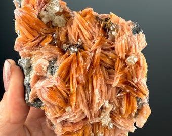 May include: A cluster of orange and pink barite crystals with clear quartz crystals. The barite crystals are arranged in a fan-like pattern.