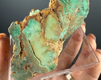 Variscite Specimen, Front Polished with  Natural Green Nodules