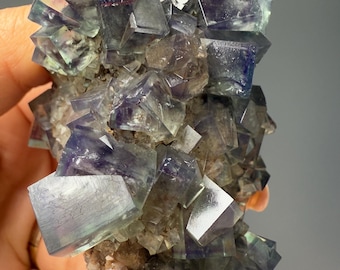Könnte beinhalten: Ein Cluster aus irisierenden Fluoritkristallen in Grün-, Lila- und Grautönen. Die Kristalle sind scharf und gut definiert, mit einem glasartigen Glanz. Der Fluorit sitzt auf einer Matrix aus grauem Gestein.