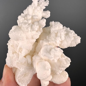 Op de afbeelding: Een cluster van witte, bloemkoolachtige mineraalformaties. Het mineraal heeft een ruw, getextureerd oppervlak.