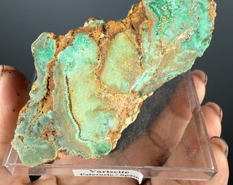 Variscite Specimen, Front Polished with  Natural Green Nodules