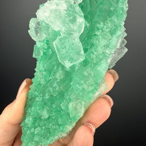 May include: A cluster of green fluorite crystals with a glassy, translucent appearance. The crystals are arranged in a fan-shaped formation, with some larger crystals in the centre and smaller crystals radiating outwards.