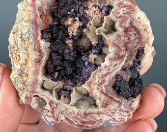 【コレクターズアイテム】レッドフォックスアゲート コレクターズアイテム】レッドフォックスアゲート Retro Game