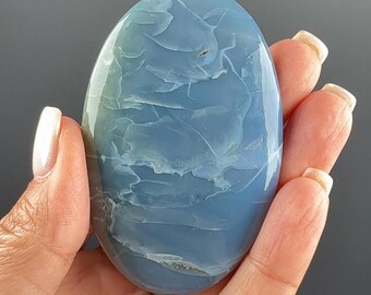 Baby Blue Owyhee Opal Palm Stone