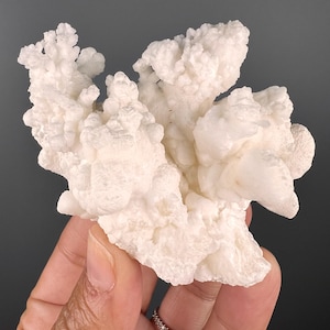 Op de afbeelding: Een wit, bloemkoolachtig mineraalspecimen met een delicate, vertakte structuur. Het specimen wordt in een hand gehouden, waardoor de ingewikkelde details zichtbaar worden.
