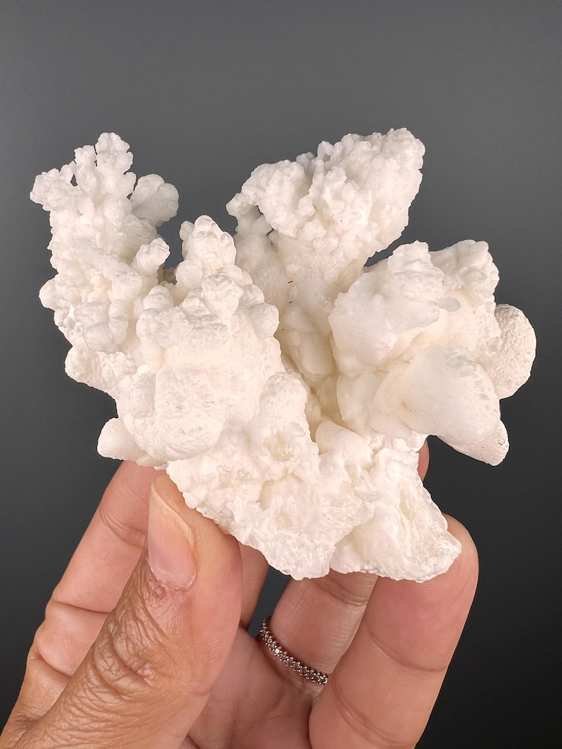 Op de afbeelding: Een wit, bloemkoolachtig mineraalspecimen met een delicate, vertakte structuur. Het specimen wordt in een hand gehouden, waardoor de ingewikkelde details zichtbaar worden.