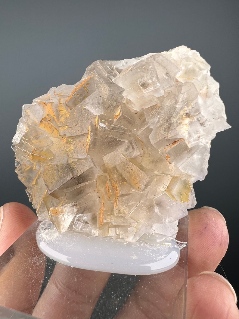 May include: A cluster of clear, faceted crystals with a golden hue. The crystals are arranged in a random, organic pattern, creating a unique and eye-catching display.
