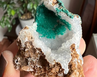 Cristal de calcédoine avec géode de malachite