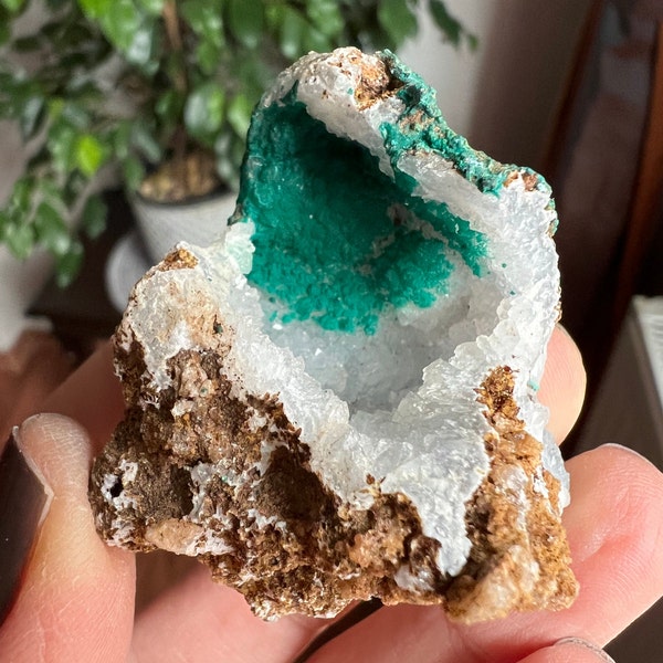 Chalcedony Geode - Etsy