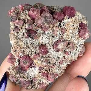 May include: A cluster of pink ruby crystals embedded in a matrix of gray and brown rock. The crystals are small and have a rough, natural appearance.