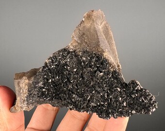 Black Tourmaline with Smoky Quartz Crystal  Specimen