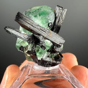 Fluorite with  Black Tourmaline Crystal (Lollipop Pocket), Erongo, Namibia