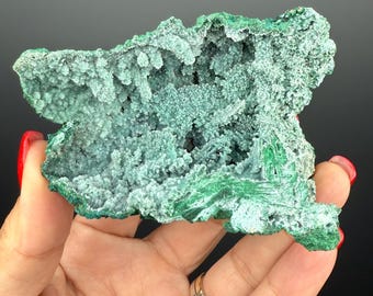 Druzy  Blue Chrysocolla with Malachite Crystal Specimen