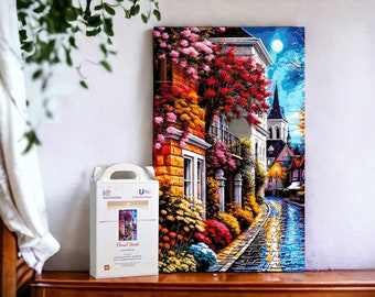 Bead embroidery kit Floral Street, cityscape, Gift Complete DIY Craft Set, Hand Embroidery Paris Design