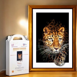 Puede incluir: Un primer plano de la cara de un leopardo, con sus ojos mirando directamente al espectador. El leopardo está en un entorno oscuro, con solo su cara y parte de su cuerpo visible. La imagen está enmarcada en un marco dorado.