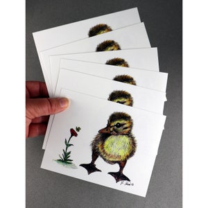 6 Postcards, Duckling Postcard, Duckling Bee and Flower, Cute Duckling Sketch, Prints of Original Art, Duckling Art, Cute Duck, Baby Duck