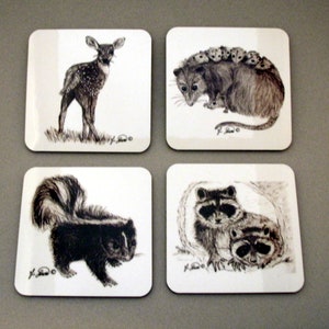 Gift for Animal Lover, 4 hot or cold Coasters, Wildlife Home Decor, Prints of Wildlife Sketches, fawn, opossum, skunk, raccoon, Bunny Boogie