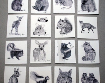 Prints of Original Art, 16 Gift Tags, Wildlife Sketches, Bunny Boogie, Made in USA, Bear, Deer, Chipmunk, Mice, Fox, Bobcat, Skunk, Opossum