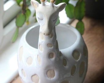 Featured image of post Giraffe Head Planter : I have used very simple and easy techniques to make.