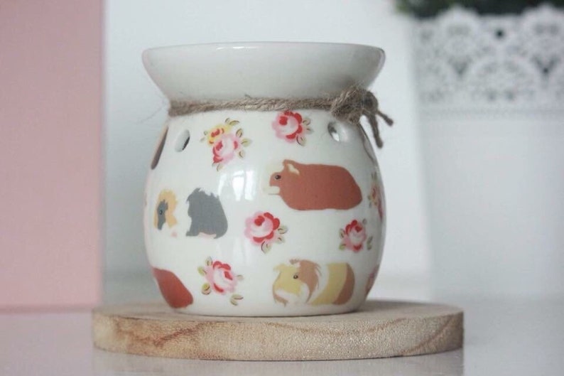 Guinea pig home decor guinea pig melter Wax burner in Guinea Etsy