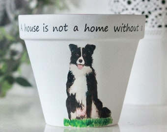 Collie home decor, Personalised,Border Collie plant pot, dog lover gift, border collie, dog lover, border collie owner, pet gift