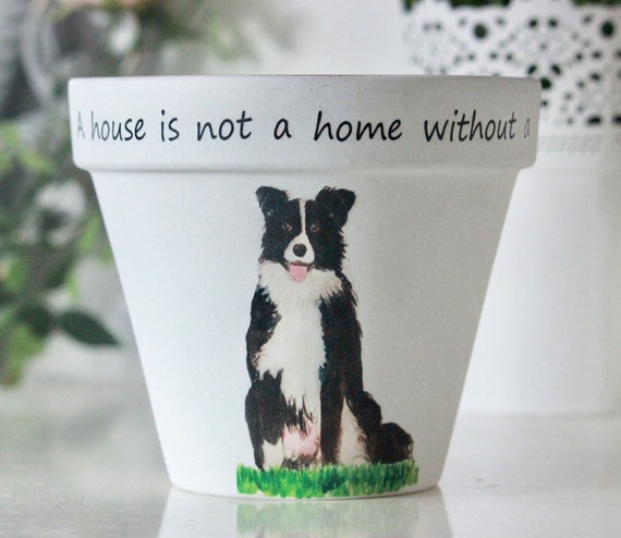 Personalised border collie store gifts