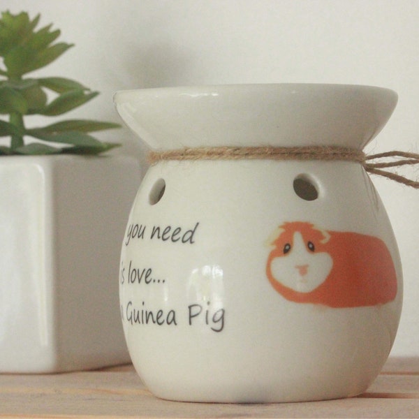 Guinea Pig Gift 60+ Gift Ideas for 2023