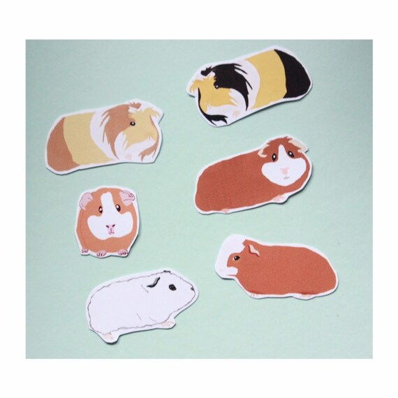 pic Cartoon Cute Guinea Pig Pictures popular cartoon