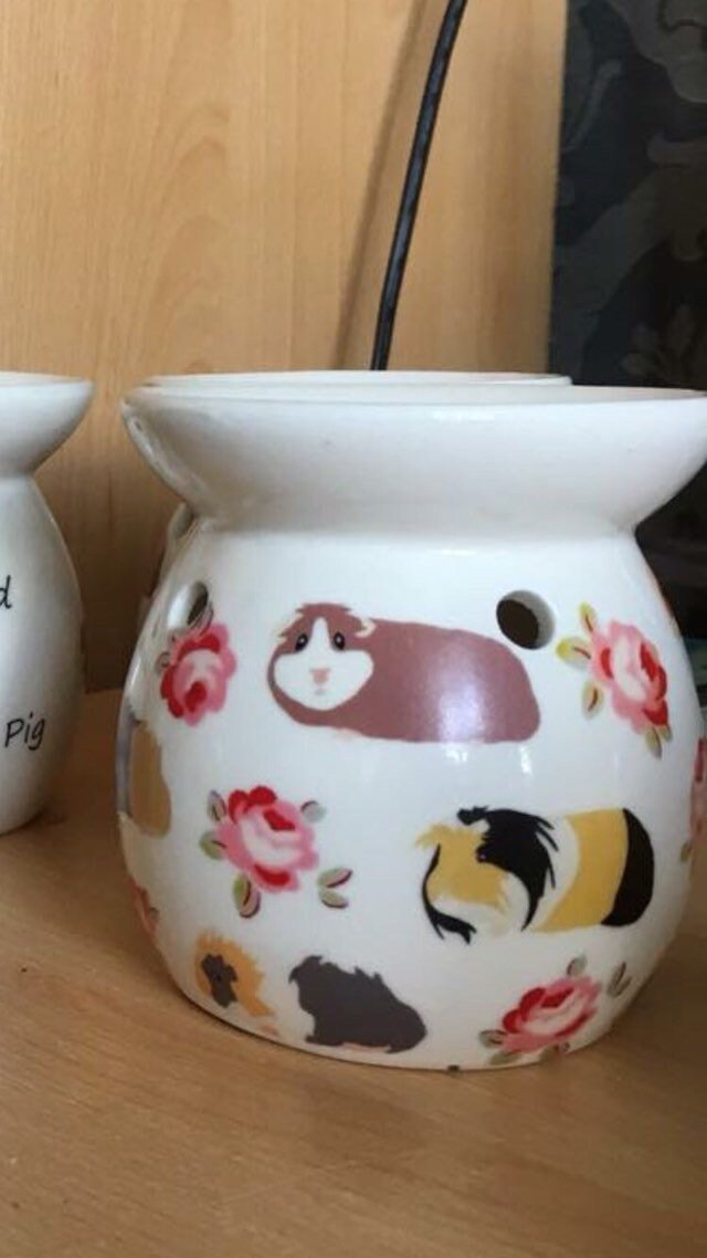 Guinea pig home decor guinea pig melter Wax burner in Guinea Etsy