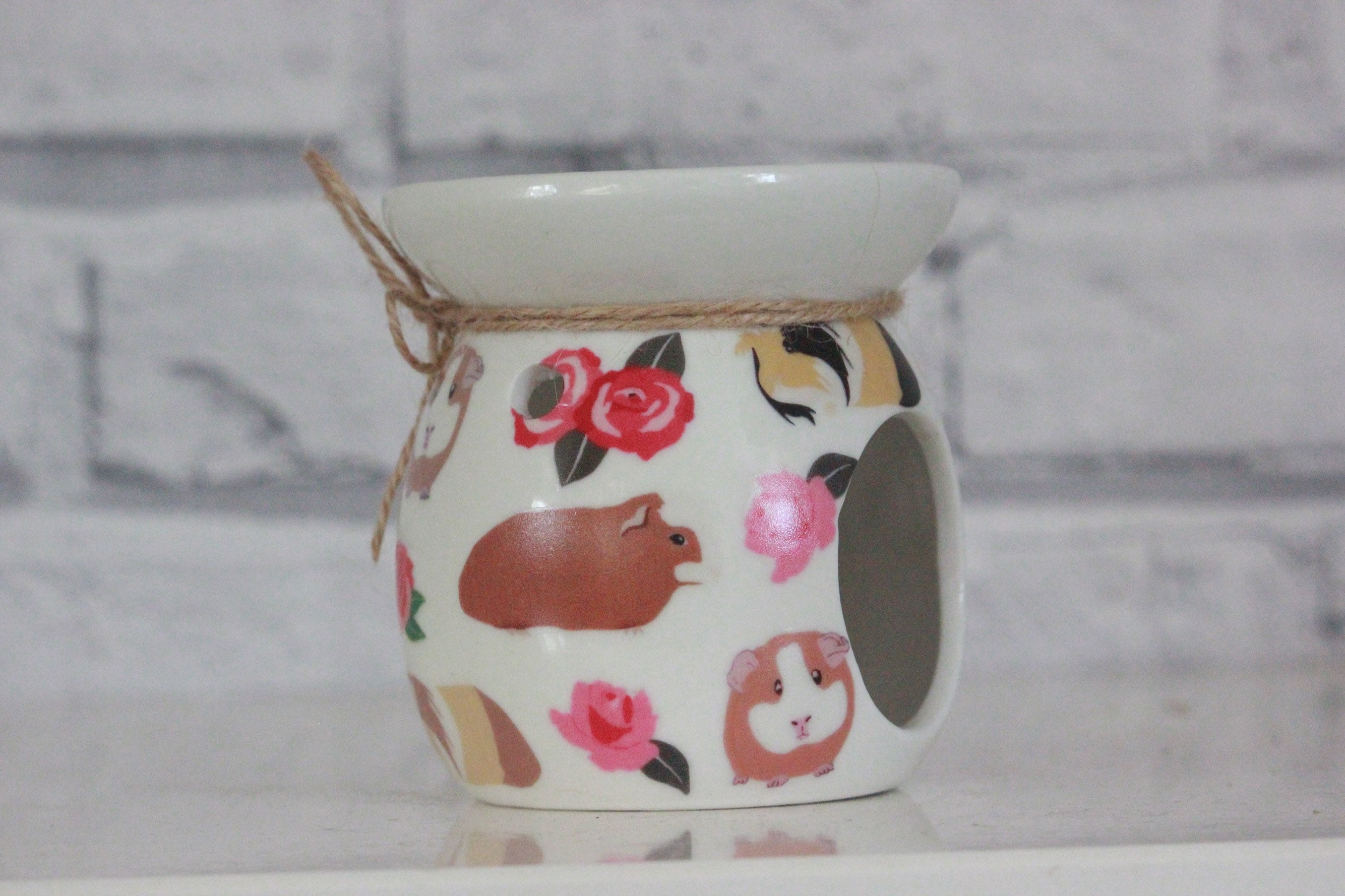 Guinea Pig Wax Burner Guinea Pig Soy Burner. Guinea Pig Etsy UK