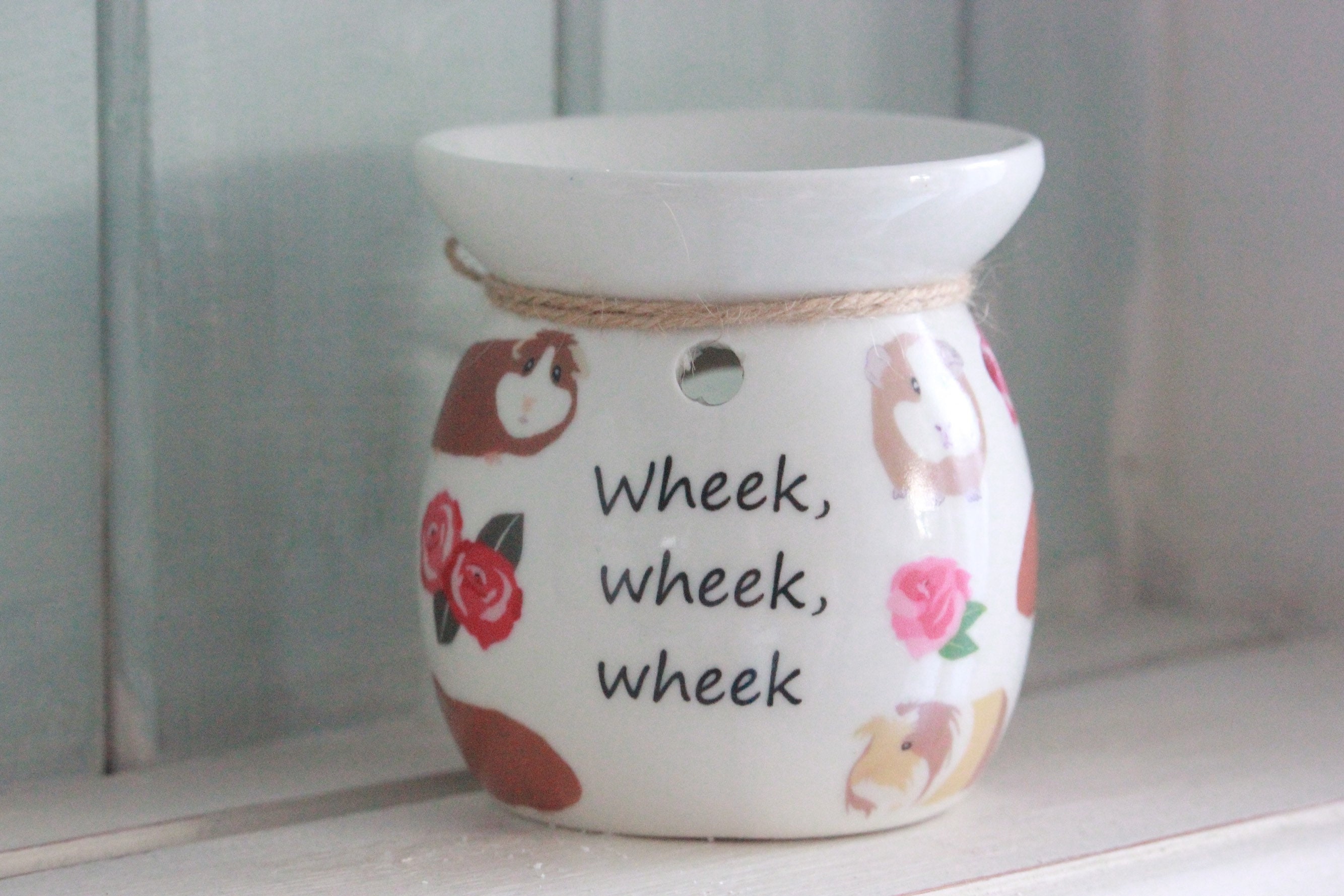 Guinea Pig Wax Burner Guinea Pig Soy Burner. Guinea Pig Etsy UK