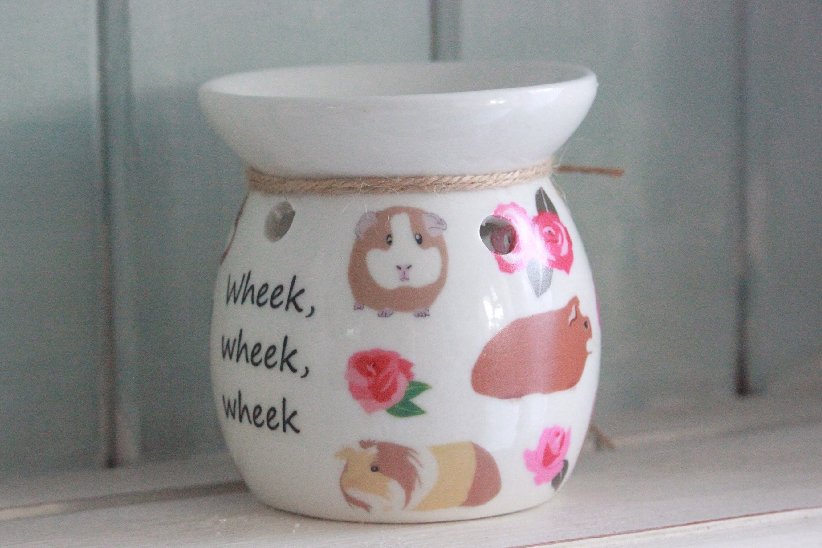 Guinea Pig Wax Burner Guinea Pig Soy Burner. Guinea Pig Etsy UK