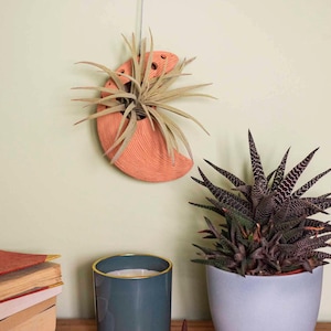Op de afbeelding: Een perzikkleurige, halvemaanvormige wandplanter met een textuuroppervlak, met een luchtplant. De planter wordt opgehangen door een zilveren ketting. Een vetplant in een witte pot en een blauwe kaars zijn ook zichtbaar.