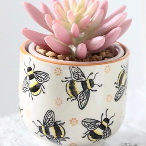 Beautiful bee small planter