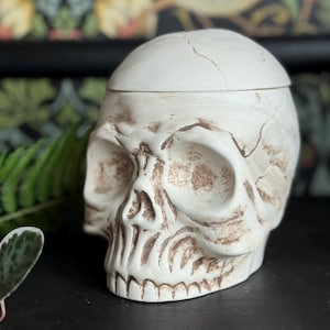 Weathered Skull Oil Burner and Wax Warmer