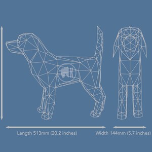 May include: Wireframe illustration of a dog in a side view and back view. The dog is 17.7 inches tall, 20.2 inches long, and 5.7 inches wide.