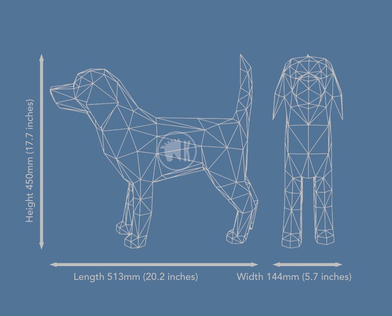 May include: Wireframe illustration of a dog in a side view and back view. The dog is 17.7 inches tall, 20.2 inches long, and 5.7 inches wide.