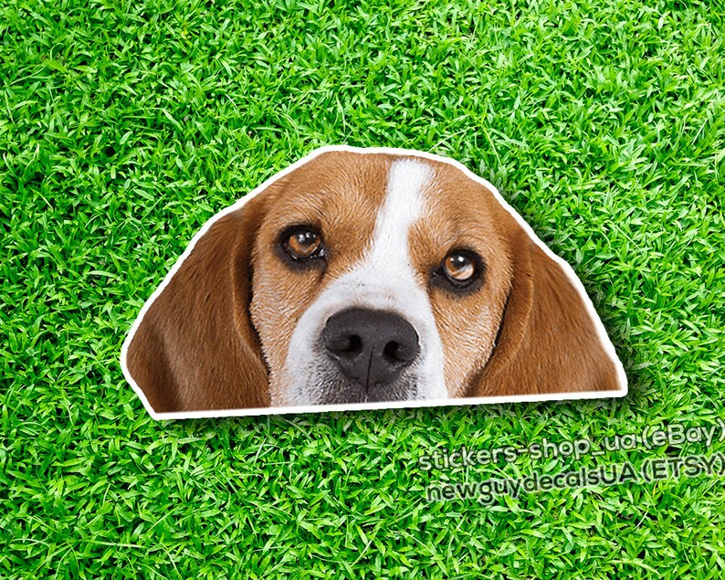 Beagle Decal Sticker Car ATC Puppy Window Laptop Decal Auto Etsy