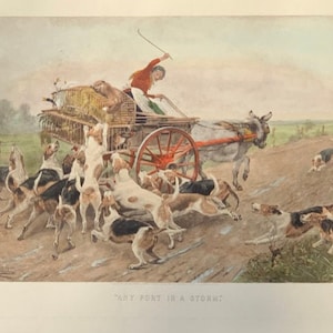 May include: A vintage illustration of a woman driving a donkey cart with a group of hounds running alongside. The cart is filled with hay and cages, and the woman is holding a whip. The scene is set in a rural landscape with a dirt road and trees in the background. The caption reads "Any Port in a Storm."