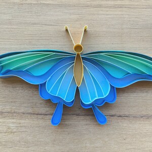 Quilling Butterfly Designs PDF & JPG Files, Beginner Patterns, Easy Instructions, Paper Art, Paper Craft image 4