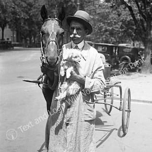 May include: A man in a hat and a long coat is holding a small white cat. He is standing next to a horse and a horse-drawn carriage. The man is looking at the camera. The image is in black and white.