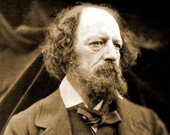 1865 Poet Alfred, Lord Tennyson Vintage Photograph 8.5" x 11" Art Print