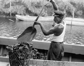 1938 Unloading Oysters, Olga, Louisiana Vintage Photograph 8.5&quot; x 11&quot; Art Print - - Historic Scene --