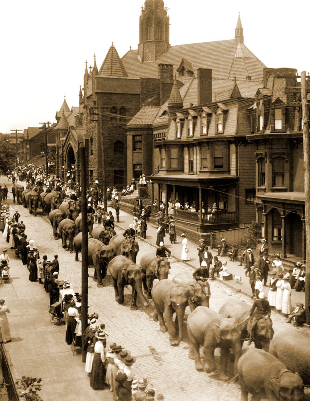 1910 Circus Parade 12th Ave, Altoona, PA Vintage Photograph 8.5 X 11