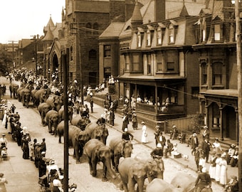 1910 Circus Parade 12th Ave, Altoona, PA Vintage Photograph 8.5" x 11" Art Print