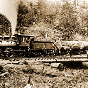 1902 Logging Train, Linden, Oregon Vintage Photograph 11" x 17" Art Print - - Historic Scene --