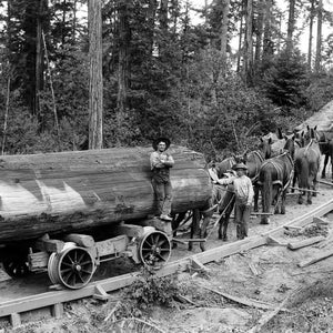 1902 California Horse Logging Wagon on Railway: Vintage Art Print (8.5" x 11")